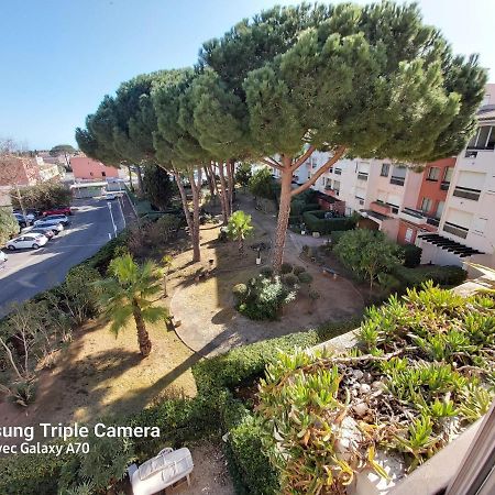 Coquet Studio Centre Port Cap D'Agde Dış mekan fotoğraf