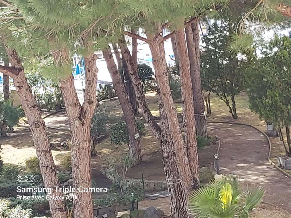 Coquet Studio Centre Port Cap D'Agde Dış mekan fotoğraf