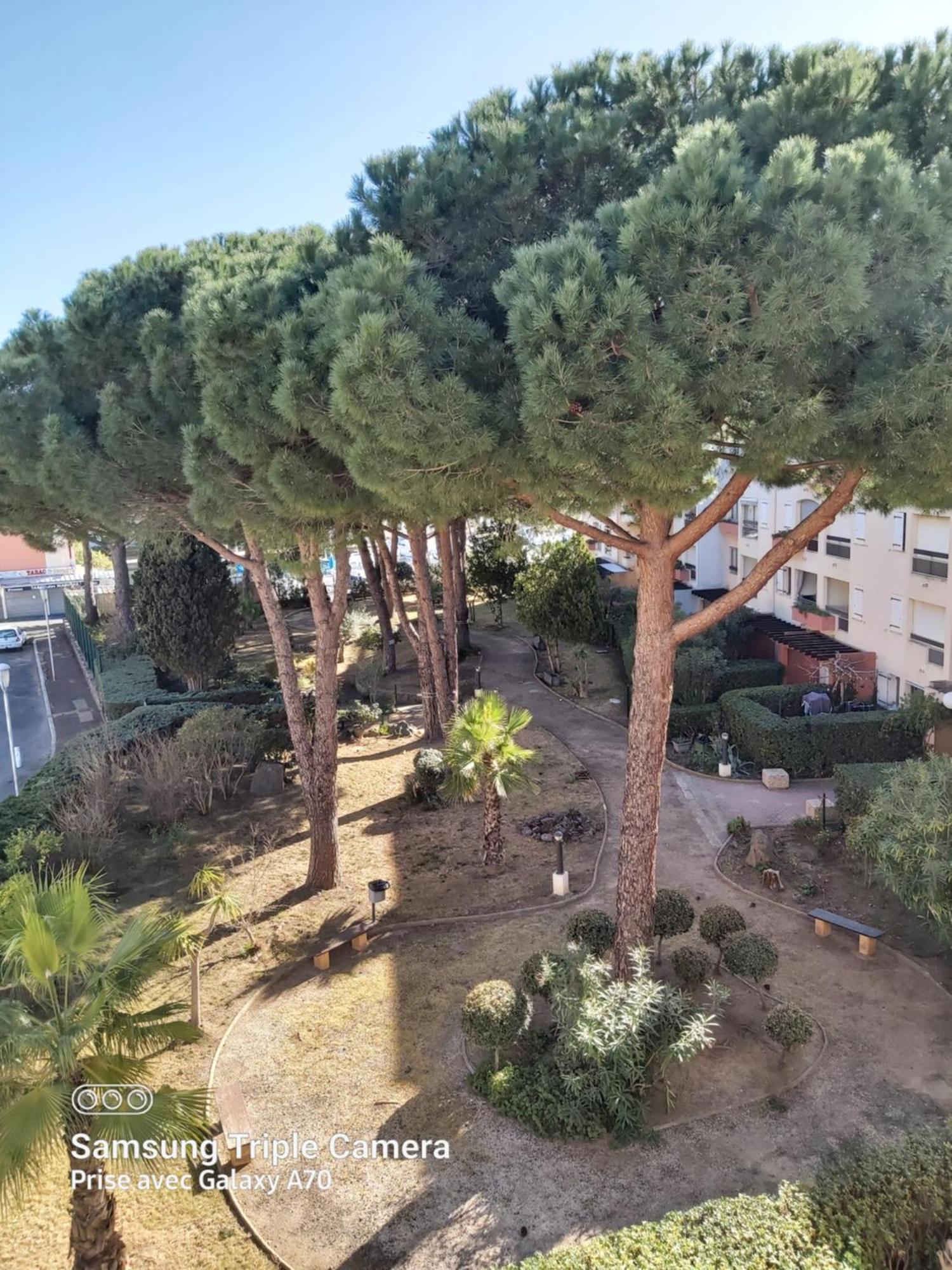 Coquet Studio Centre Port Cap D'Agde Dış mekan fotoğraf